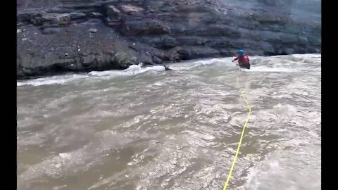 😇Two kayakers save baby moose from drowning 😇