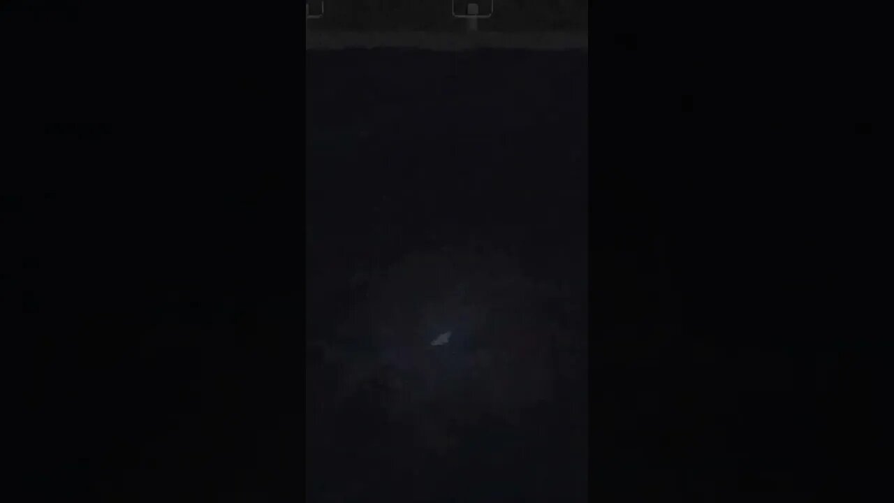 What is that?!