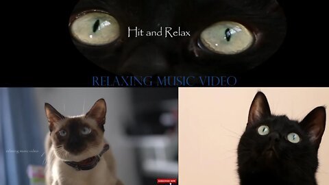 Got Scared!? Just Hit and Relax.. Relaxing Music Video..2022