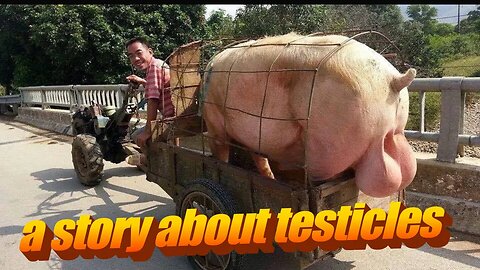 This video is a load of old bollocks.