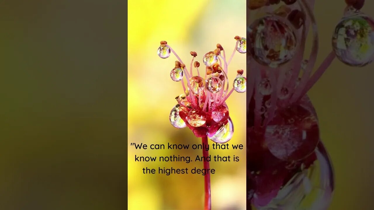 We Know Nothing