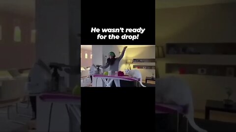 The cat literally took off!! 🤣🤣🥰 Follow @motomotomastenbroek 🙏❤️ #love #cute #funny #family #happy #