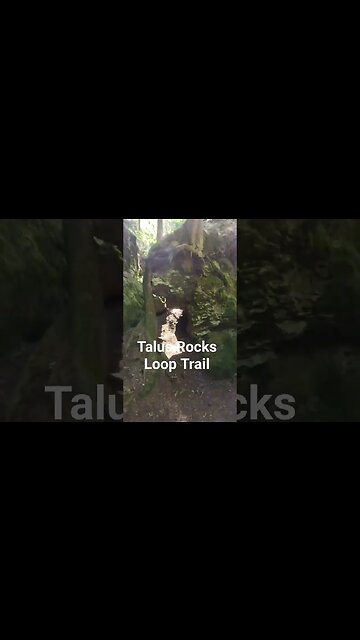 #nature #pnw #hikingtrails #hiking #naturehike #solohiking