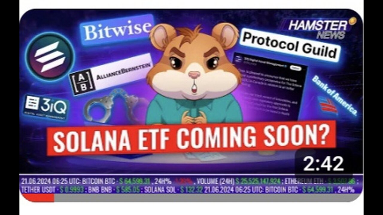 Solana ETF Approval, Bitcoin $1M Prediction Iligal Cryptocurrency Exchange! Hamstar News