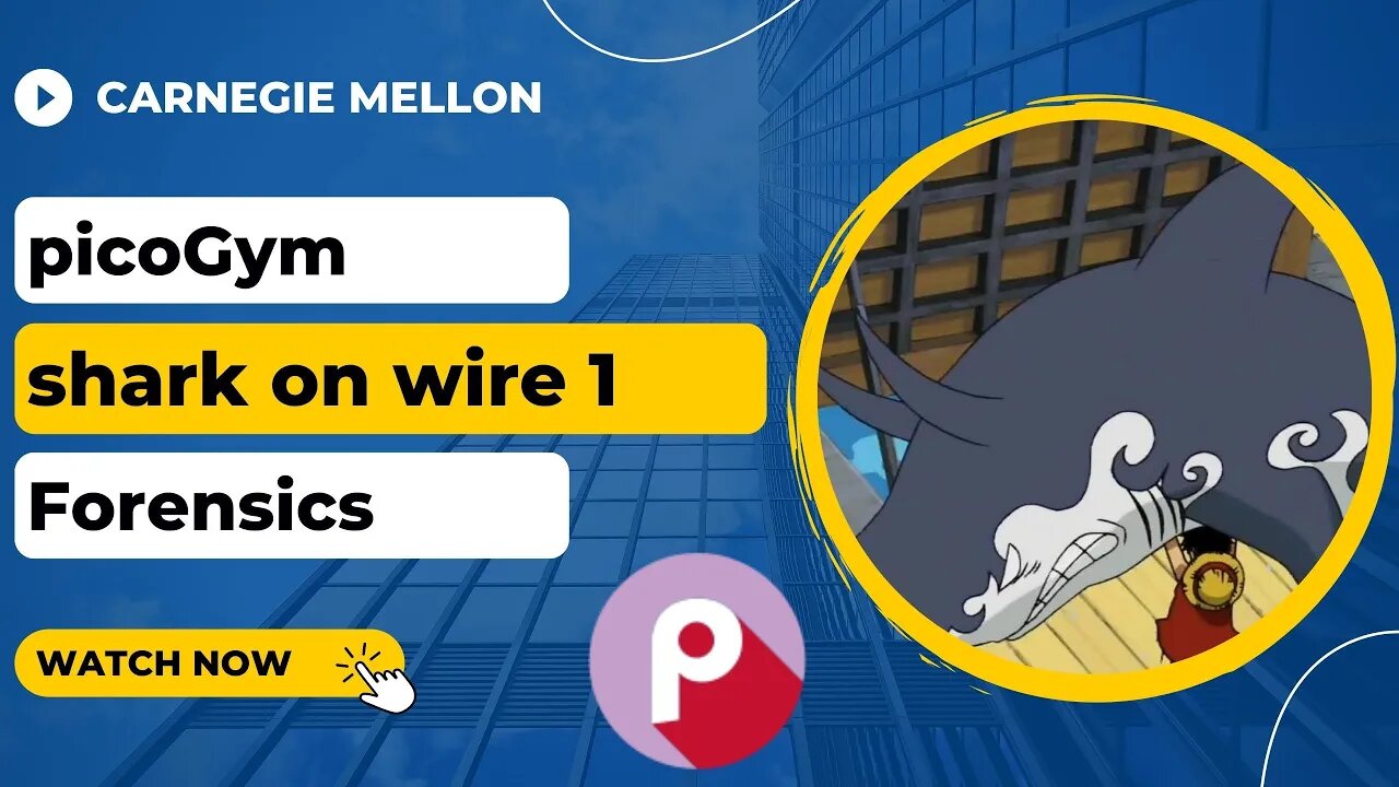 picoGym (picoCTF) Exercise: shark on wire 1