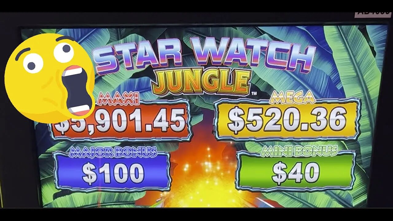 Star Watch Jungle Pays What!