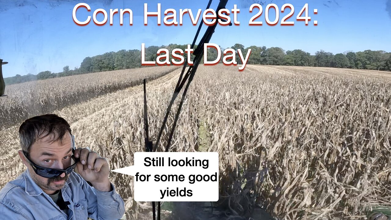 Corn Harvest 2024: Last Day, Still looking for good yields