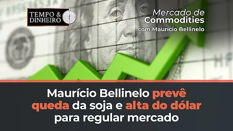 Soja tem queda esperada entre julho e novembro e dólar sobe para regular mercado