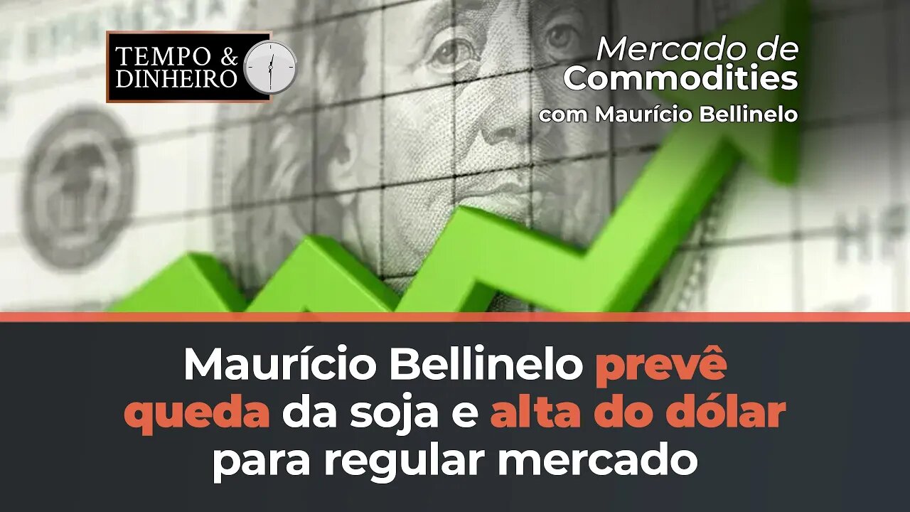 Soja tem queda esperada entre julho e novembro e dólar sobe para regular mercado