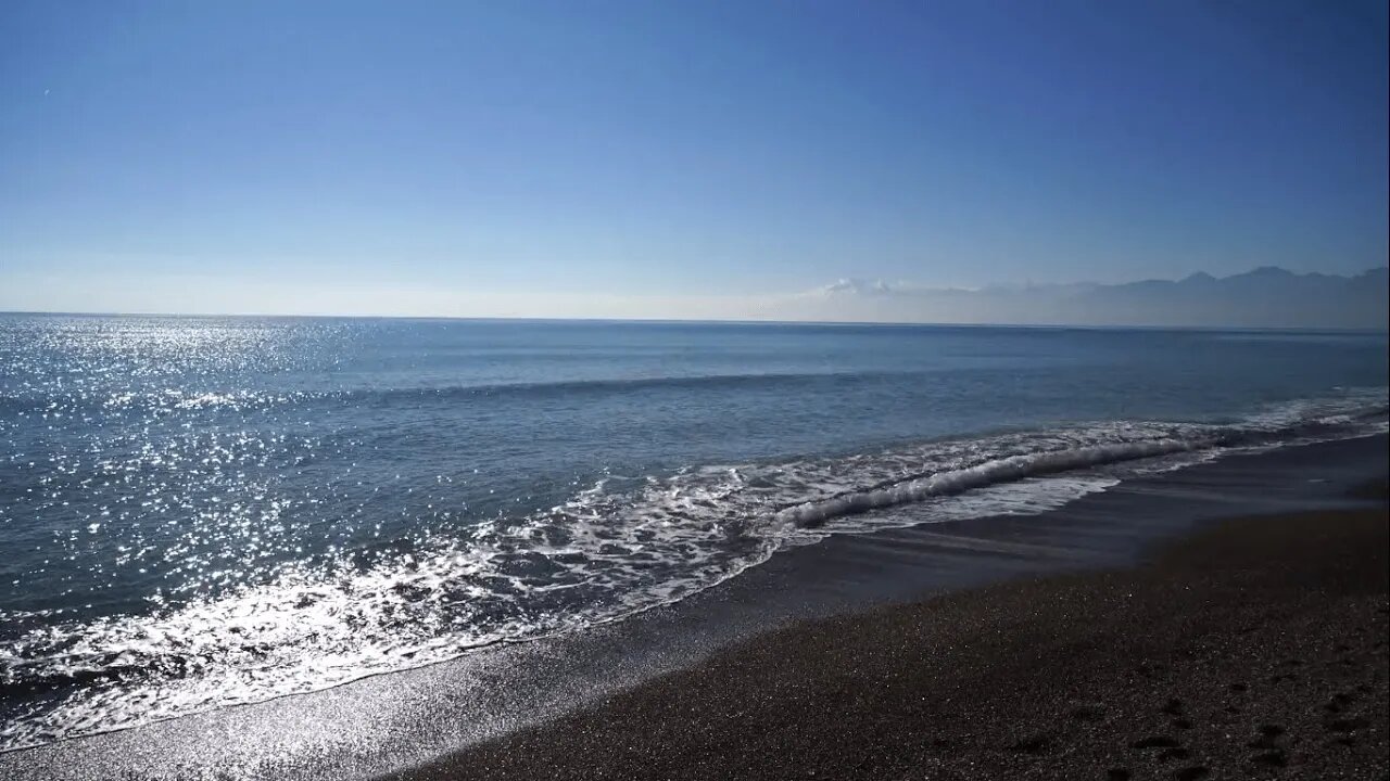 Peaceful Beach Nature Video