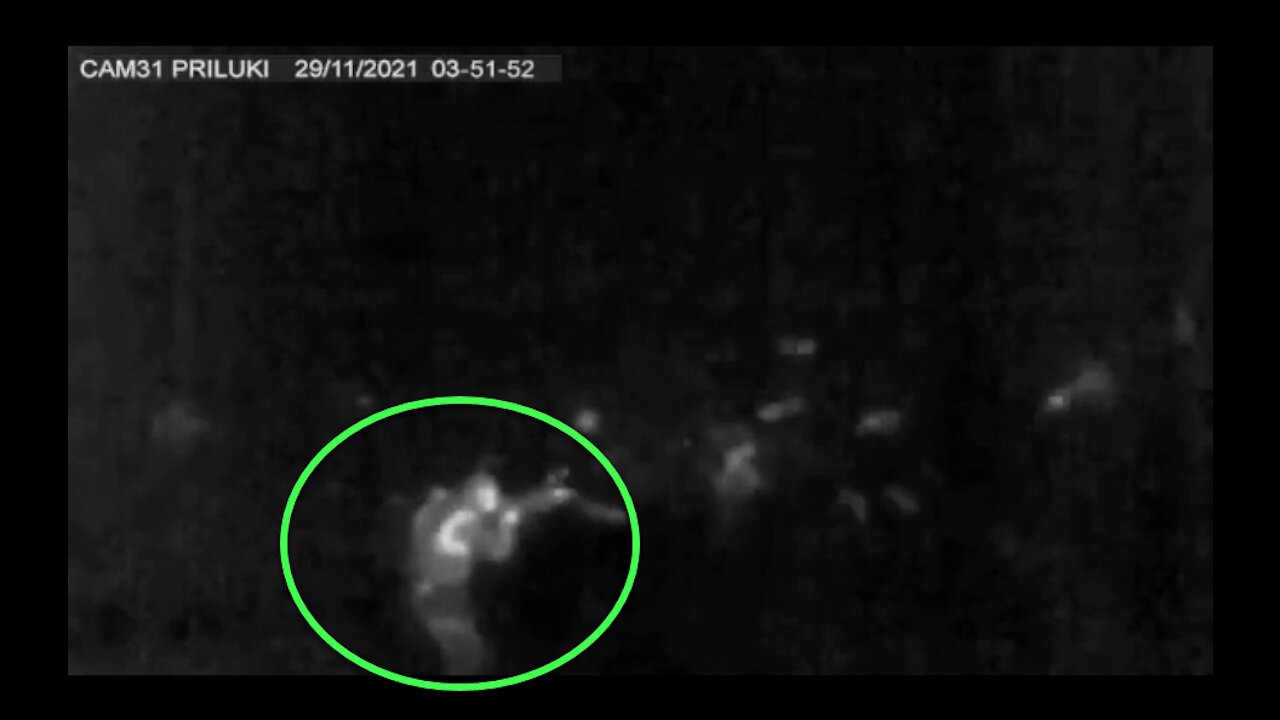 Ukrainian border guards have denied reports that they allegedly shot a group of migrants