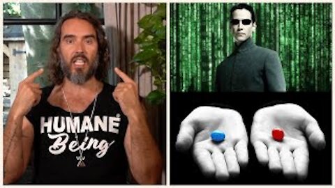 Red Pill or Blue Pill? Why The Matrix Matters