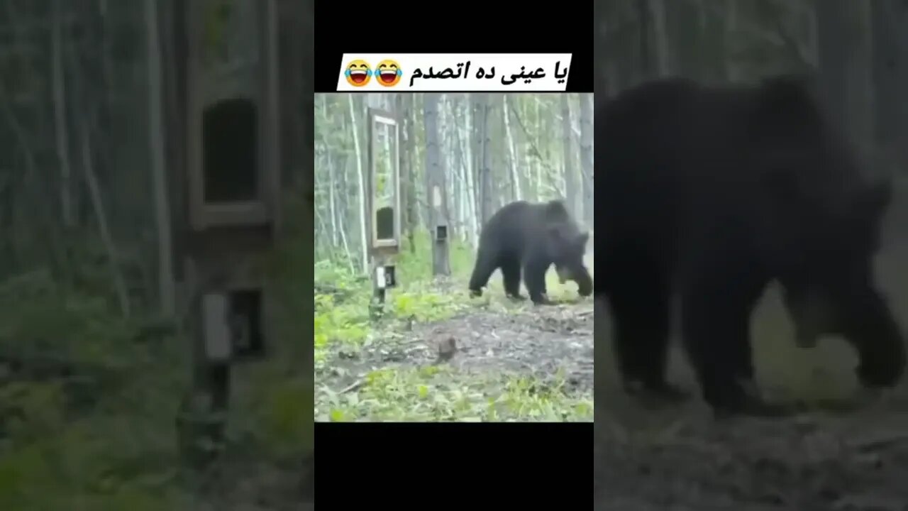 سبحان الله