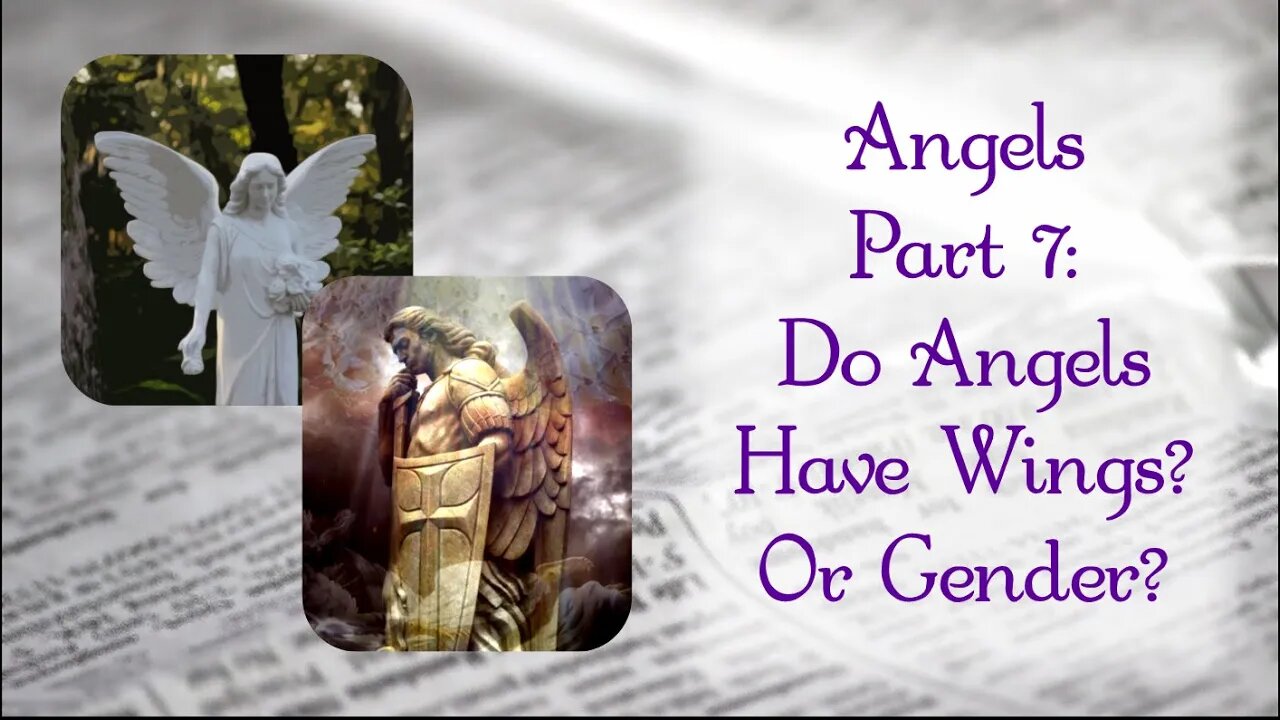 Do Angels Have Wings or Gender?