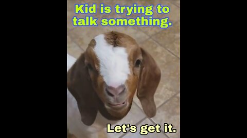 A kid is talking