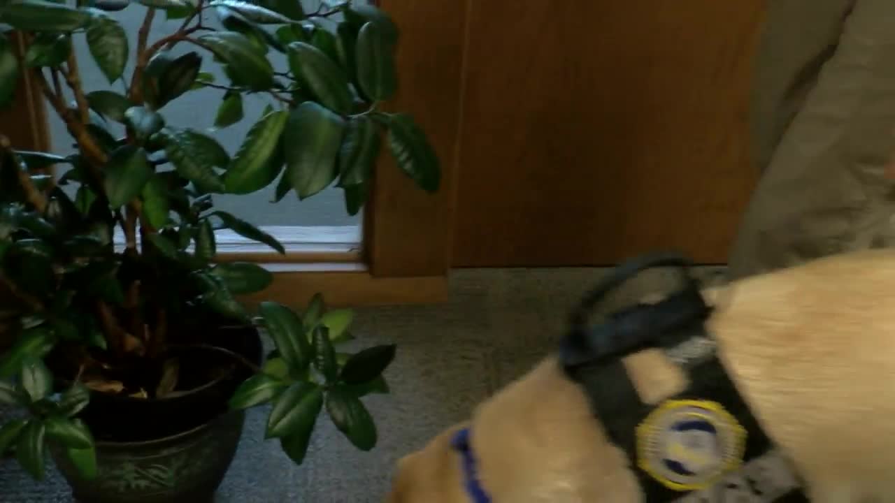 Kozak sniffs out memory card