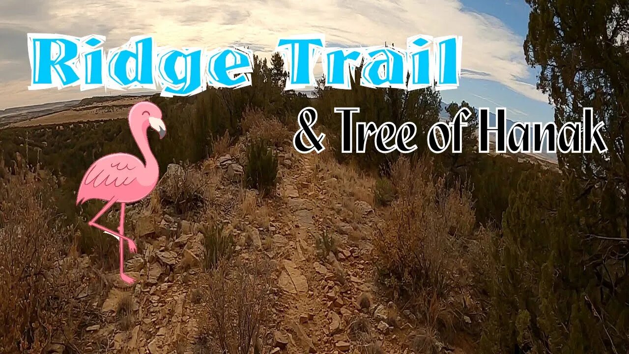 Back to winter places - Ridge Trail and the Tree of Hanak!