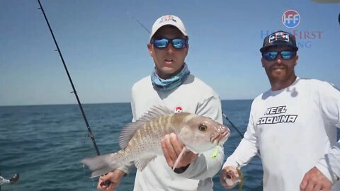 How to Fight a Mangrove Snapper