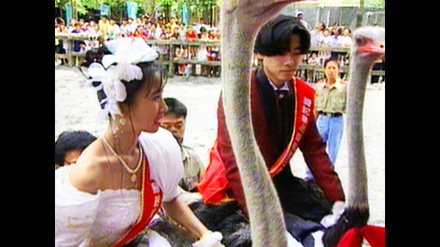 Couple Get Married On Ostriches