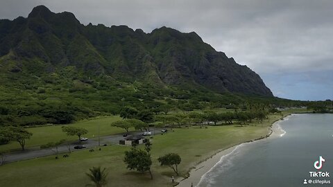 Beautiful Hawaii flying like a bird