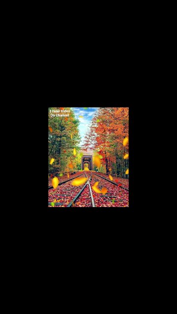 Fall Is A Great Time To Enjoy Scenic Beauty Of Our Surroundings With Some Upbeat Jazz On Your Side!