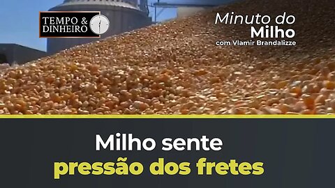 Milho sente pressão dos fretes