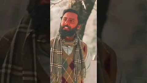 #parizaadshorts