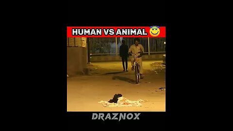 HUMAN_VS_ANIMAL_#prank_#viral_#video