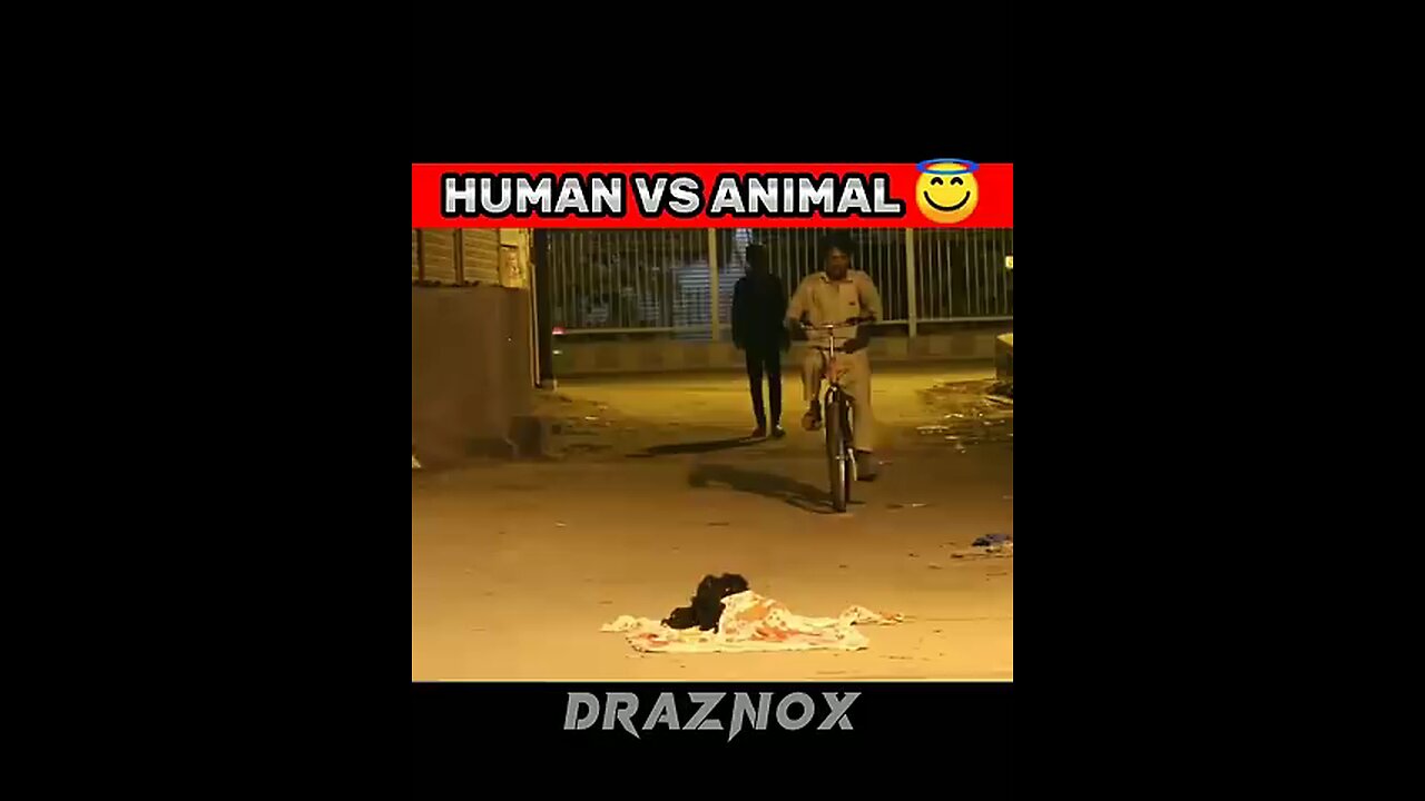 HUMAN_VS_ANIMAL_#prank_#viral_#video