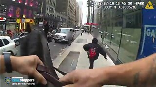 Something You Don't See In NYC Everyday Goes Viral