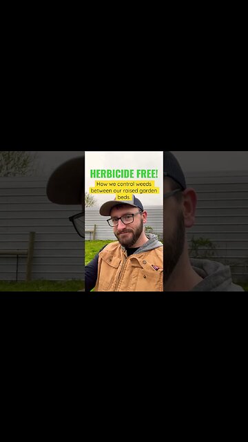 Control Weeds Organically #shorts