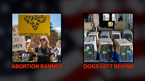 Texas BANS Abortion & Biden Abandons Dogs