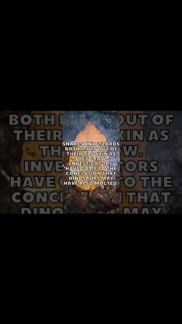 Incredible Random Facts That Will Expand Your Mind! [2023] #shorts #facts #viralshorts #fyp #life