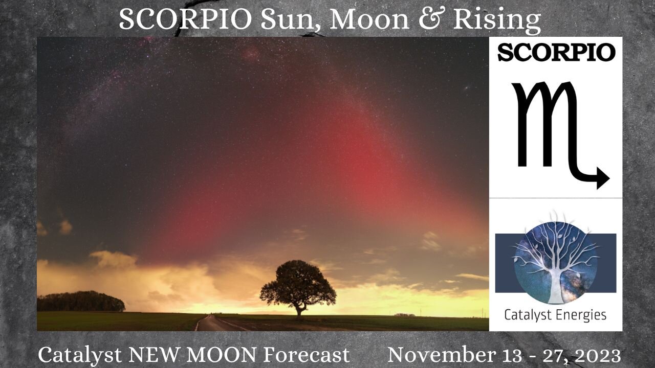 SCORPIO Sun, Moon & Rising - Catalyst NEW MOON Forecast: Nov. 13th - 27th, 2023