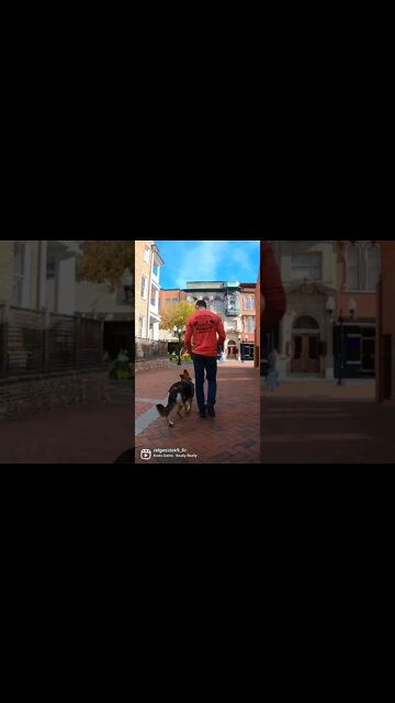 All my diamonds shine - cause they really diamonds....