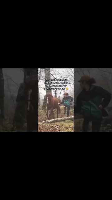 Treat Training Ruined My Horse 😢