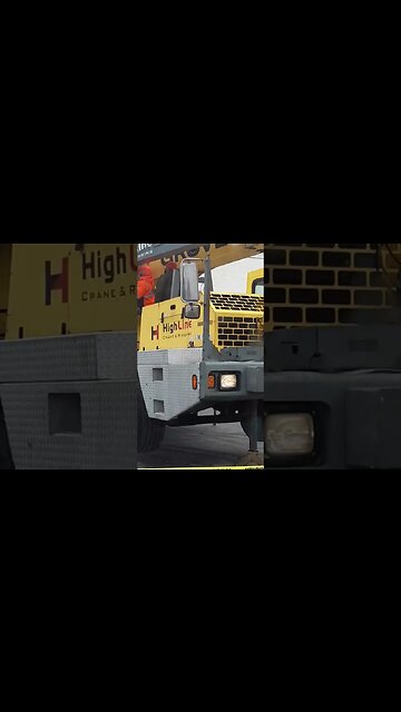 cranes are neat #shorts