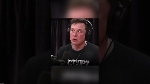 Elon Musk on the Joe Rogan podcast