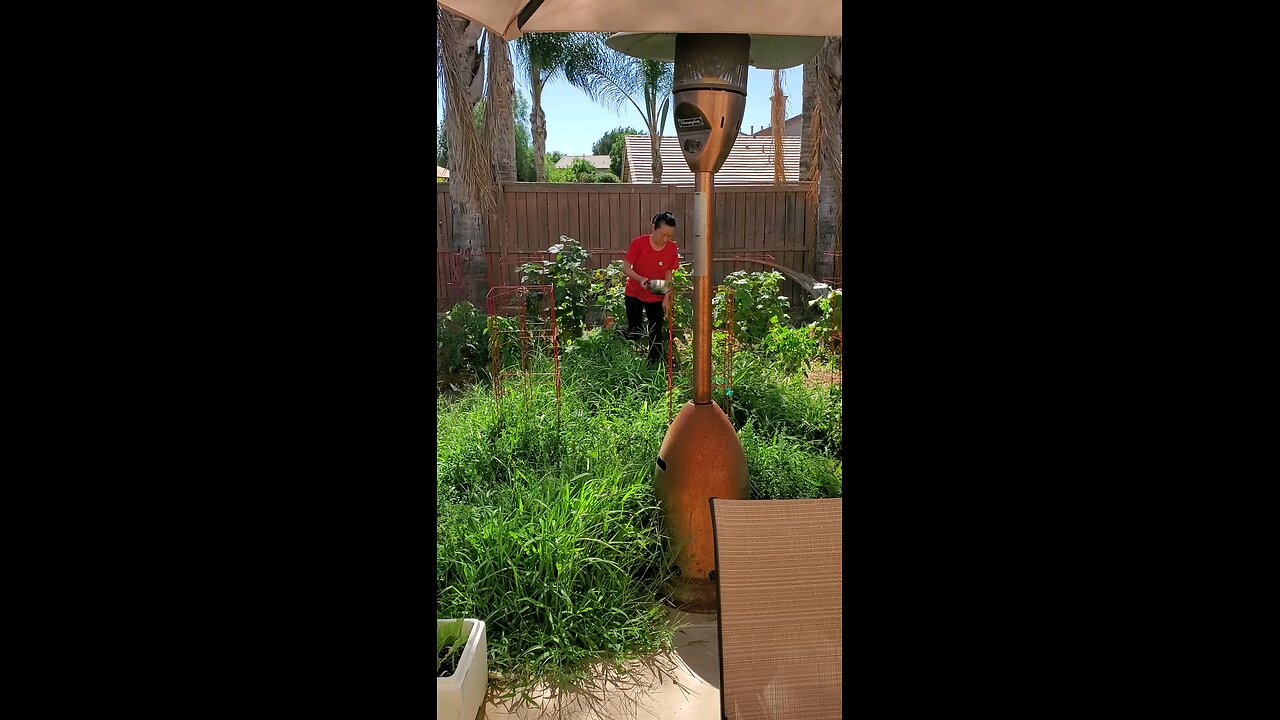 my wife enjoys the garden