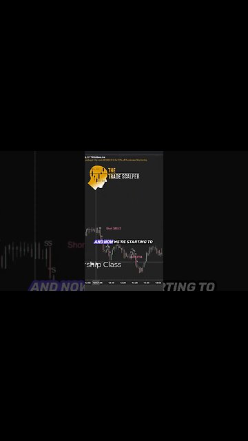 Market Buying and Selling Strategies Maximize Profits with Tactical Trading Techniques