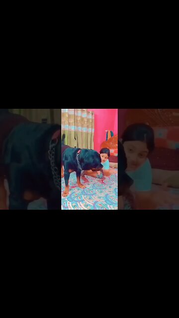 Bhojpuriya short video #comeady #trinding #shorts