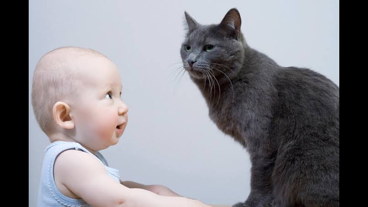 cute Baby laughing at pug puppies