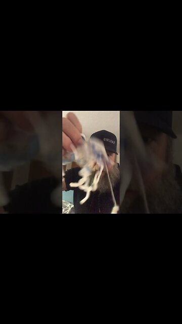 Things Dasher Destroyed #shorts #dog #goat