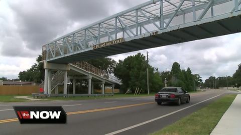 Crews plan to replace Pinellas Trail pedestrian bridge over Alt. 19 | Driving Tampa Bay Forward