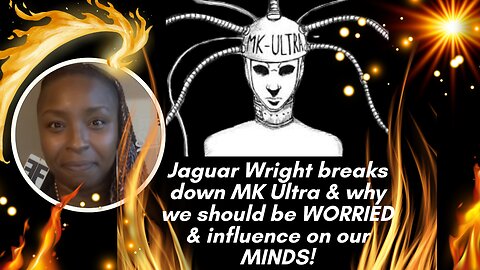 Jaguar Wright breaks down MK Ultra in detail, why we should be WORRIED & influence on our MINDS!