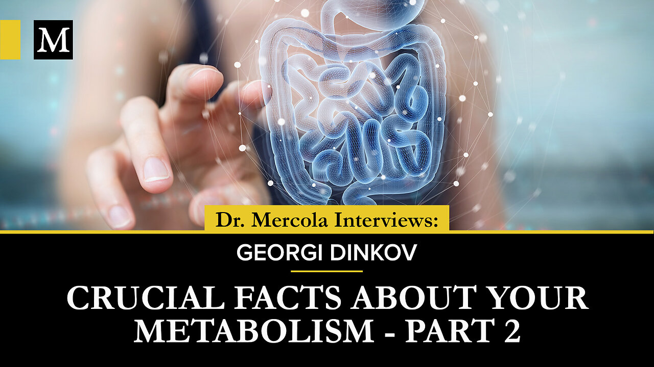 Crucial Facts About Your Metabolism, Part 2 – Interview With Georgi Dinkov