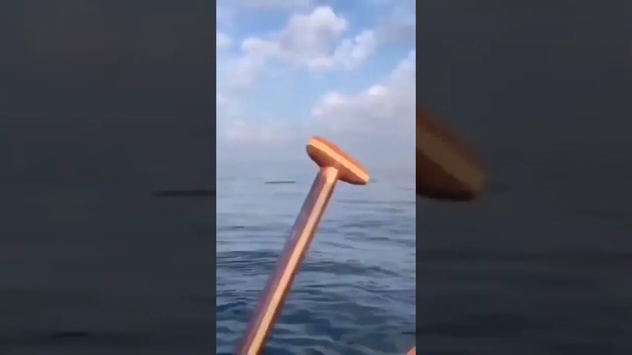 A whale of a tale