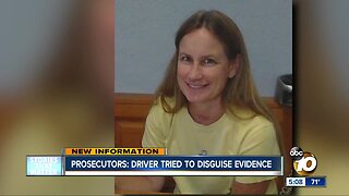 Ramona hit-and-run suspect in court