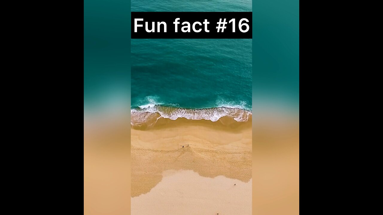Did you know this about the oceans