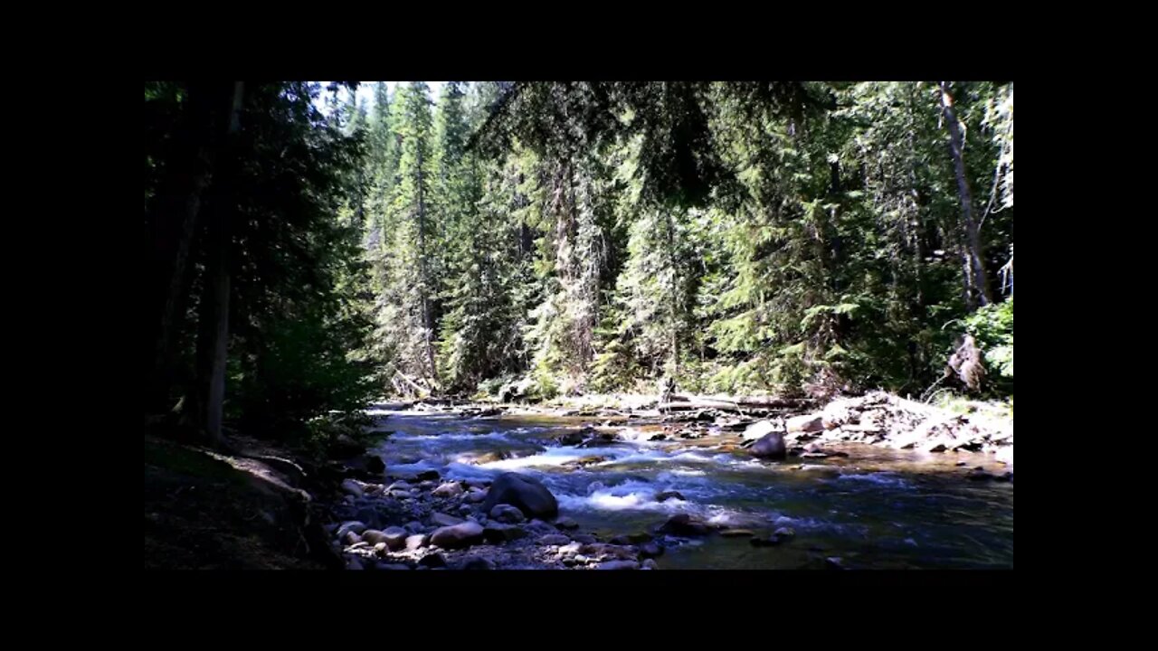 Sullivan Creek Whistles